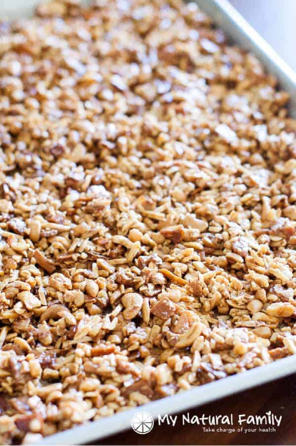 Honey Roasted Tropical Paleo Granola Recipe