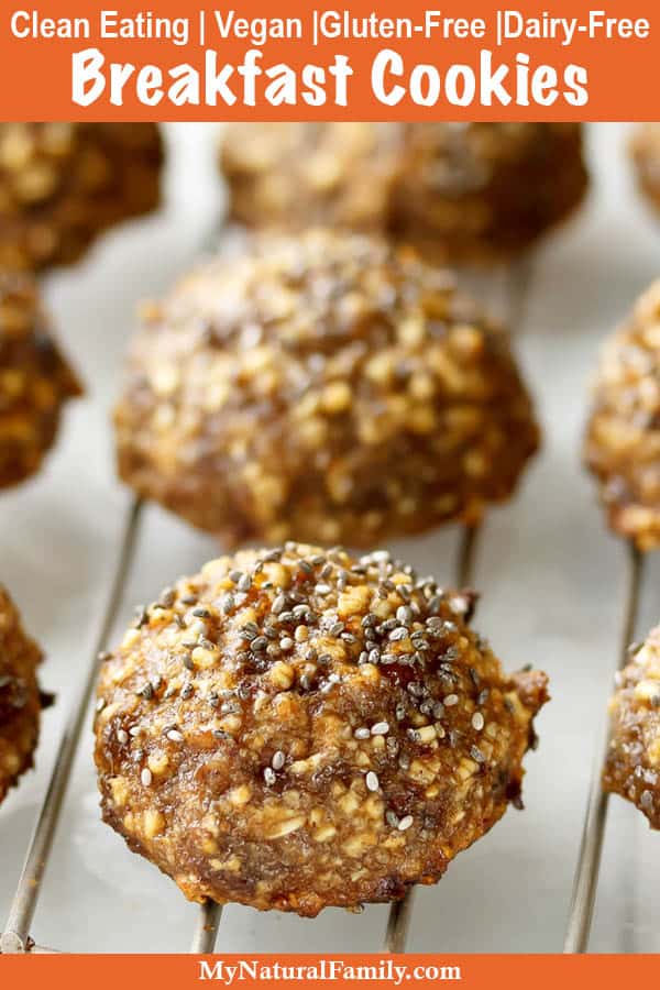 Clean Eating Oatmeal Breakfast Cookies Recipe