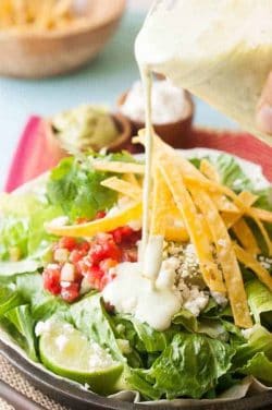 Healthy Pulled Pork Salad
