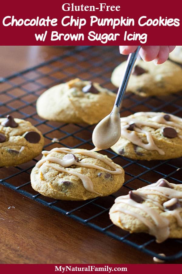 Gluten-Free Pumpkin Cookies