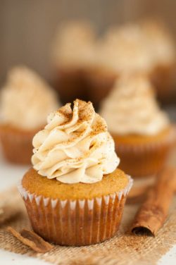 Paleo Snickerdoodle Cupcakes
