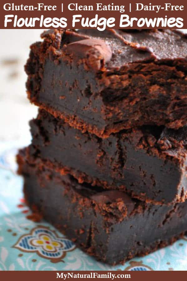 Gluten-Free Chickpea Brownies