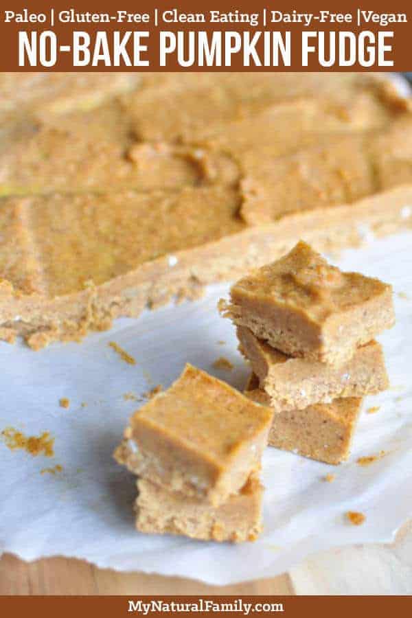 This no-bake Paleo pumpkin fudge only has 5 ingredients and all you do is mix them together and freeze for a few hours. So easy and so good to have on hand for those times when you just want a little treat. {Clean Eating, Gluten-Free, Dairy-Free, Vegan} #mynaturalfamily #paleo #paleorecipes #healthyeating #healthyrecipes #healthyfood