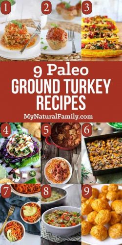 Paleo Ground Turkey Recipes