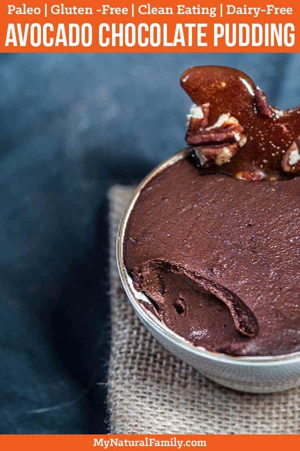Make this avocado chocolate pudding with only 5 ingredients - dark chocolate, coconut milk, avocado, honey and cocoa. Plus, it doesn't take long to melt the chocolate and blend everything together then chill it and you end up with a rich, velvety Paleo chocolate pudding full of antioxidants. {Paleo, Gluten-Free, Clean Eating, Dairy-Free} #paleorecipe #paleo #mynaturalfamily #avocado