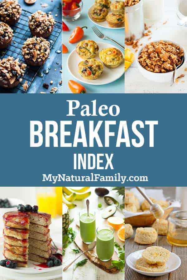 Paleo Breakfast Recipes Index #paleo #paleorecipes #mynaturalfamily