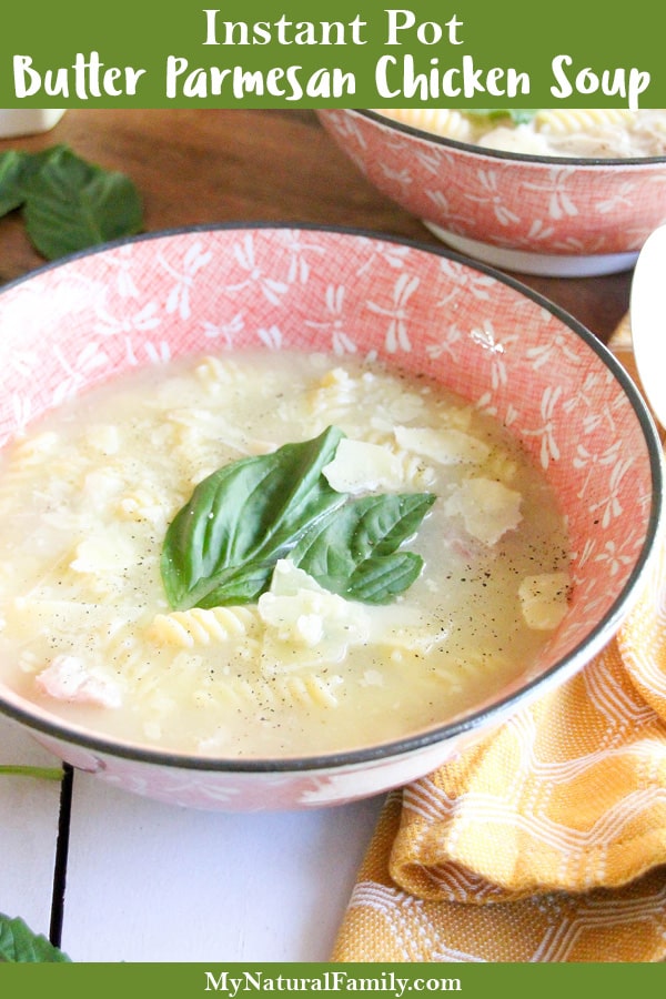 Simple Butter Parmesan Instant Pot Chicken Soup Recipe