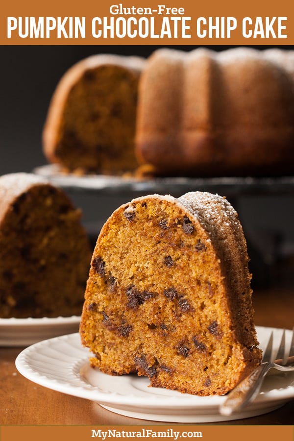 Gluten-Free Pumpkin Chocolate Chip Cake Recipe