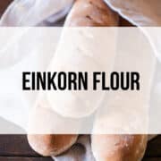 einkorn flour recipes
