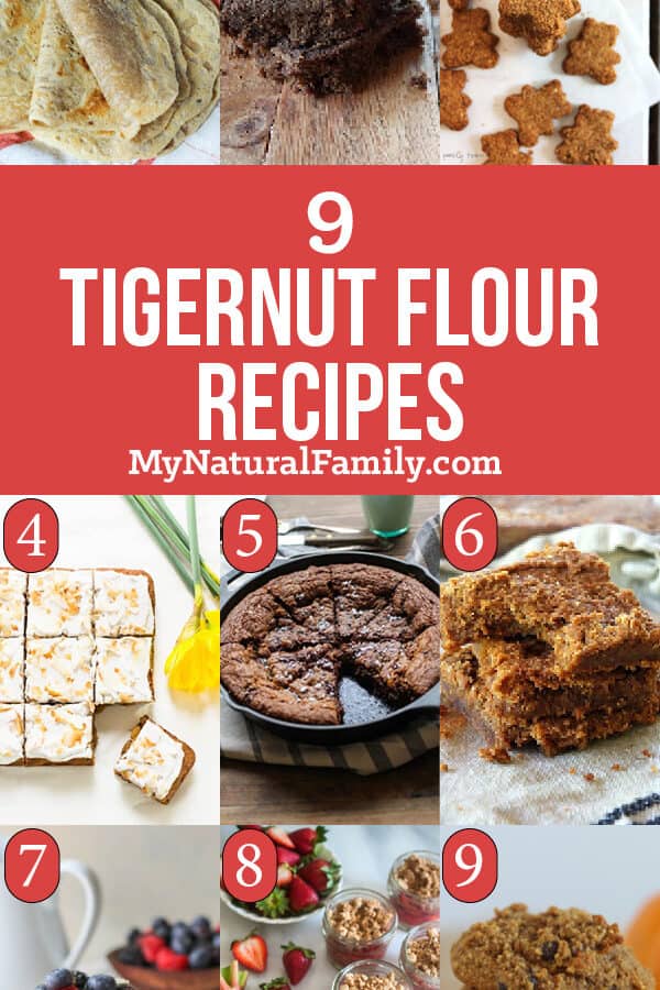 Tigernut Flour Recipes